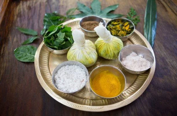 Panchakarma Detox